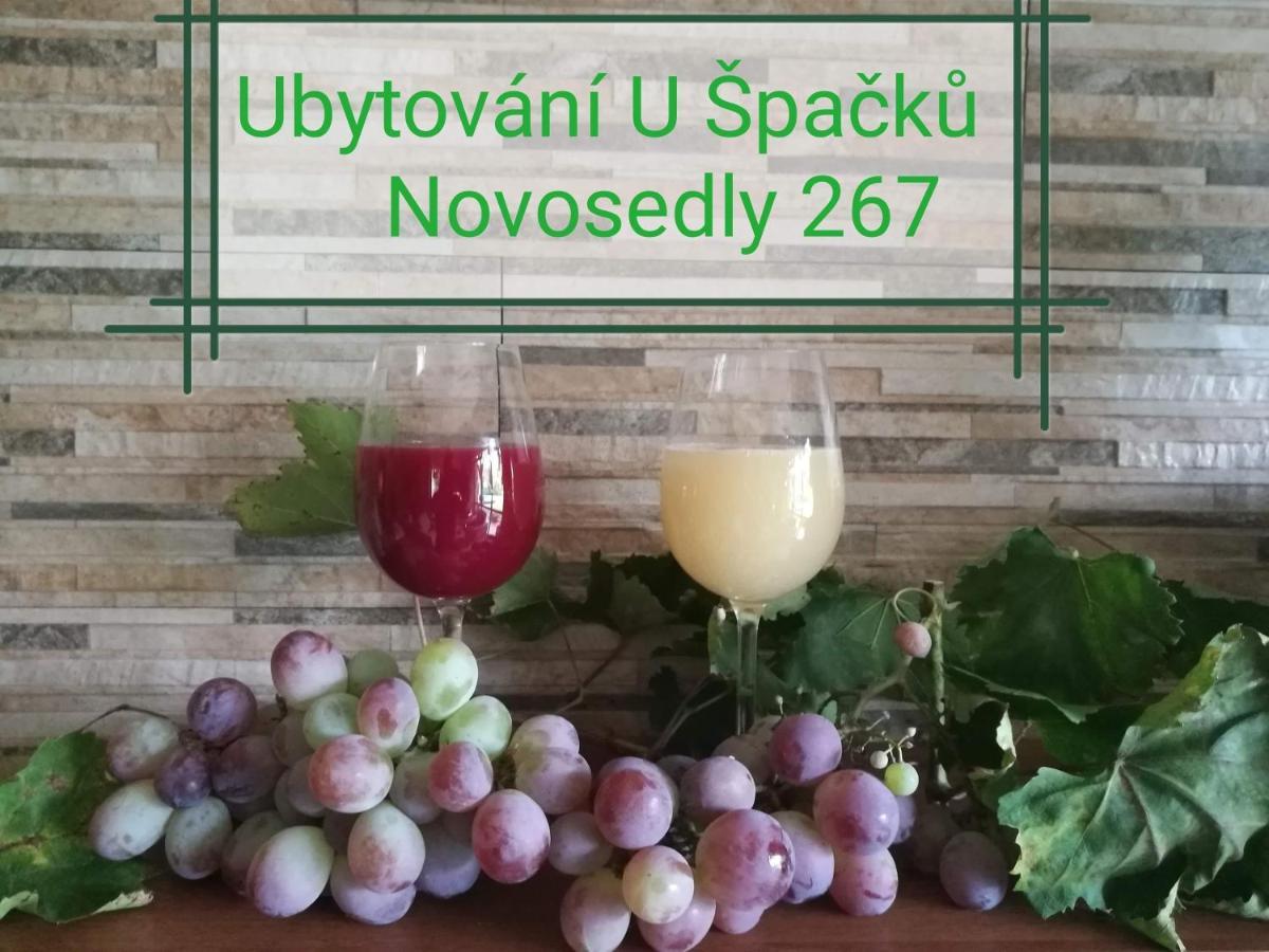 Ubytovani U Spacku Palava Novosedly  エクステリア 写真