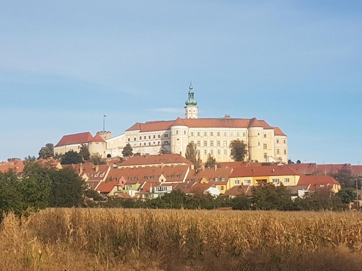 Ubytovani U Spacku Palava Novosedly  エクステリア 写真