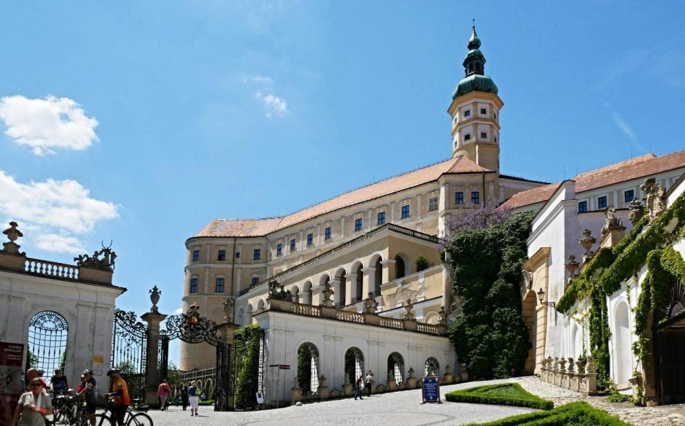Ubytovani U Spacku Palava Novosedly  エクステリア 写真
