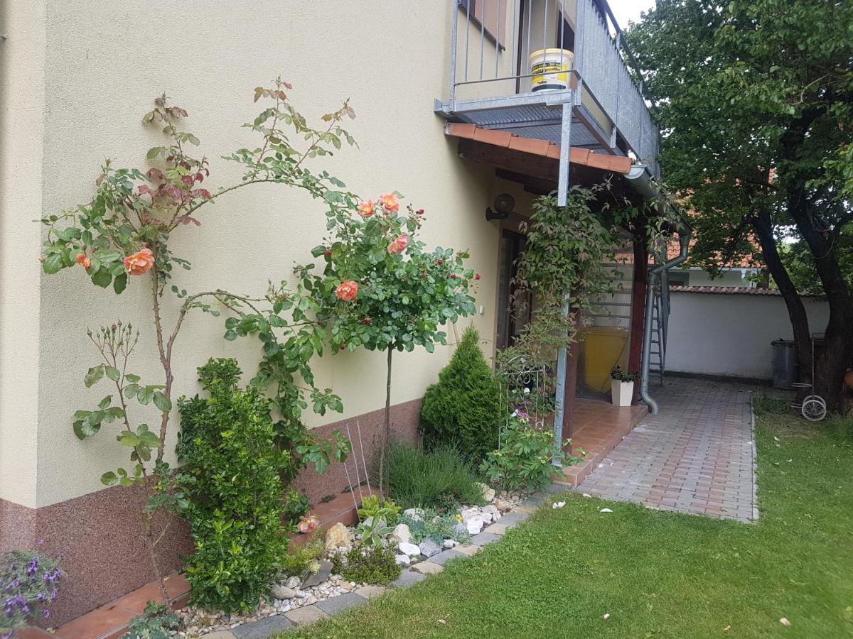 Ubytovani U Spacku Palava Novosedly  エクステリア 写真