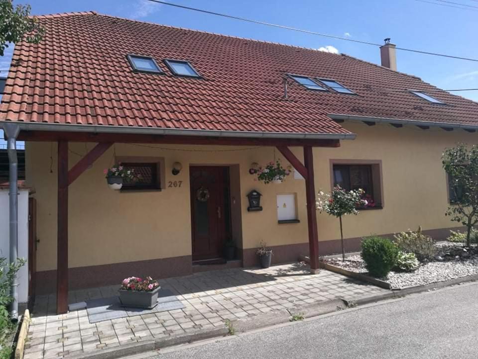 Ubytovani U Spacku Palava Novosedly  エクステリア 写真