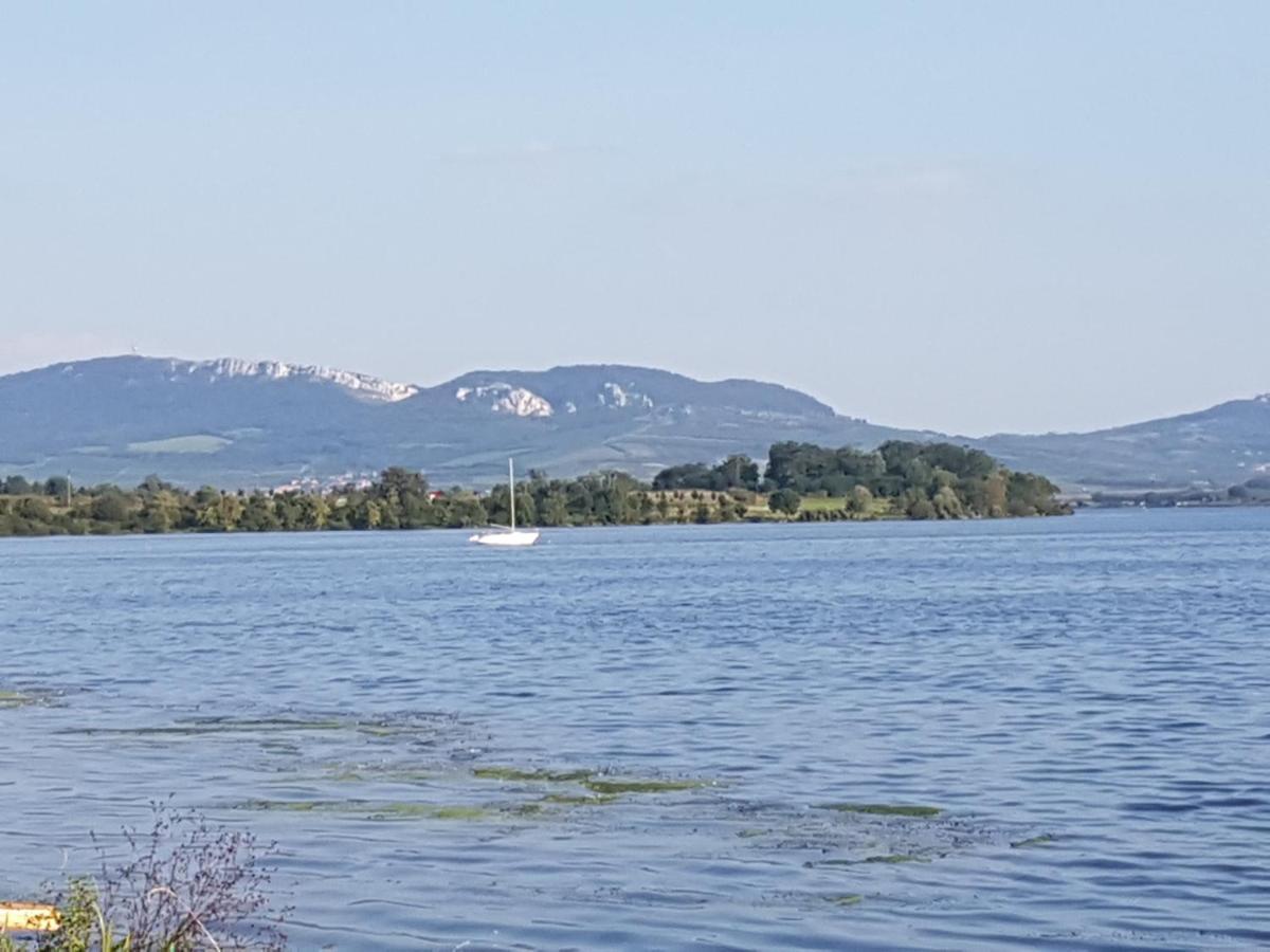 Ubytovani U Spacku Palava Novosedly  エクステリア 写真