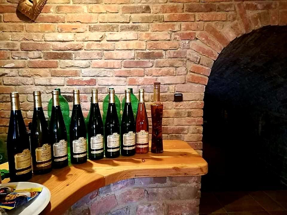 Ubytovani U Spacku Palava Novosedly  エクステリア 写真