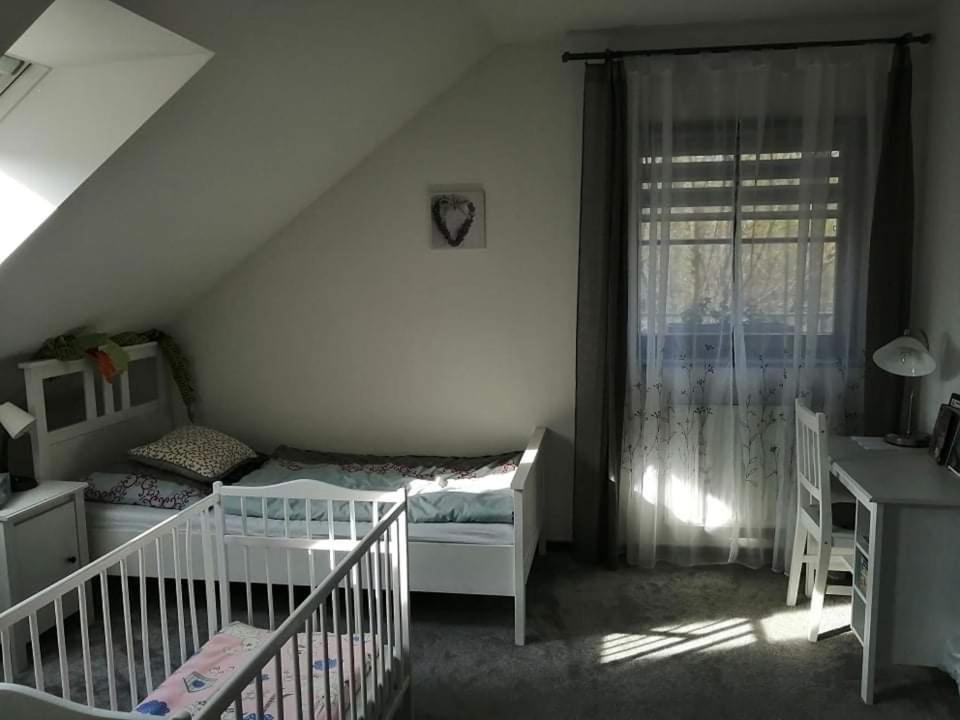Ubytovani U Spacku Palava Novosedly  エクステリア 写真