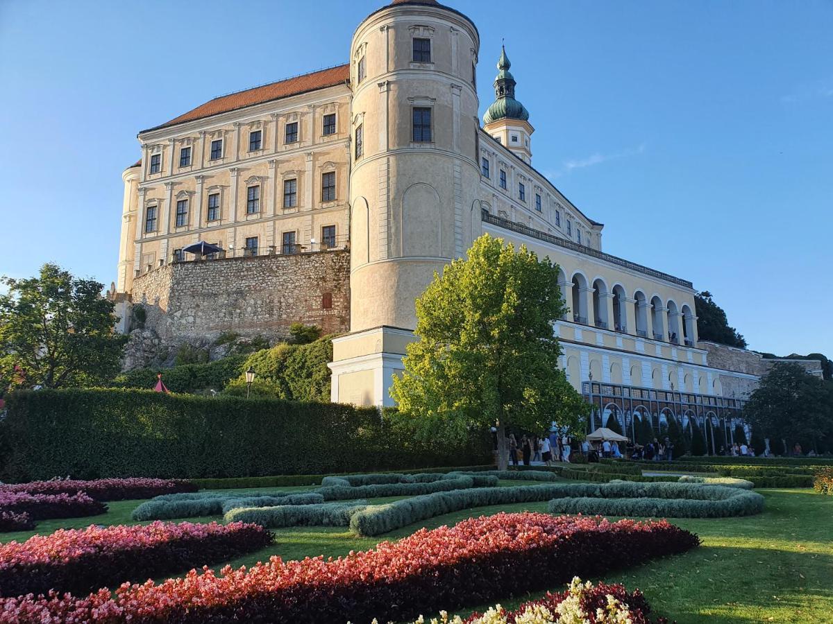 Ubytovani U Spacku Palava Novosedly  エクステリア 写真