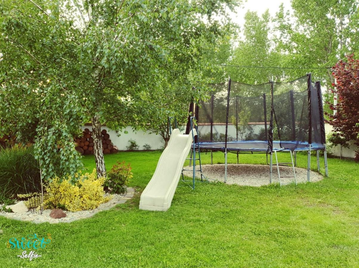 Ubytovani U Spacku Palava Novosedly  エクステリア 写真